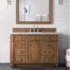 Bristol 48" Single Vanity in Saddle Brown