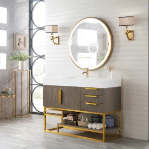 Columbia 48" Single Bathroom Vanity in Ash Gray with Radiant Gold Base