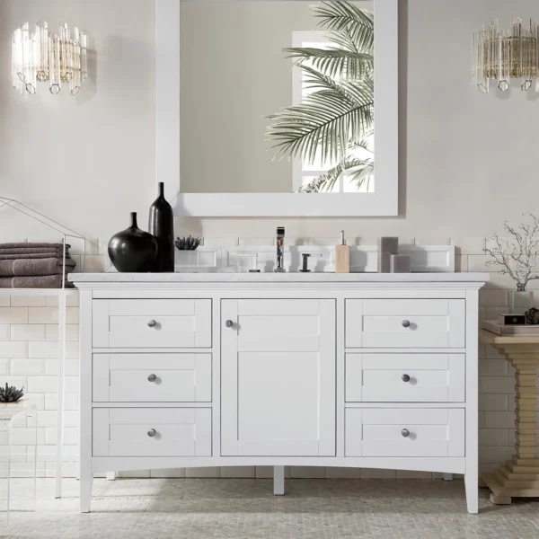 Palisades 60" Single Bathroom Vanity