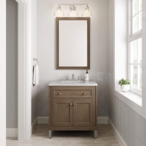 Chicago 30" Single Bathroom Vanity in Walnut Whisper