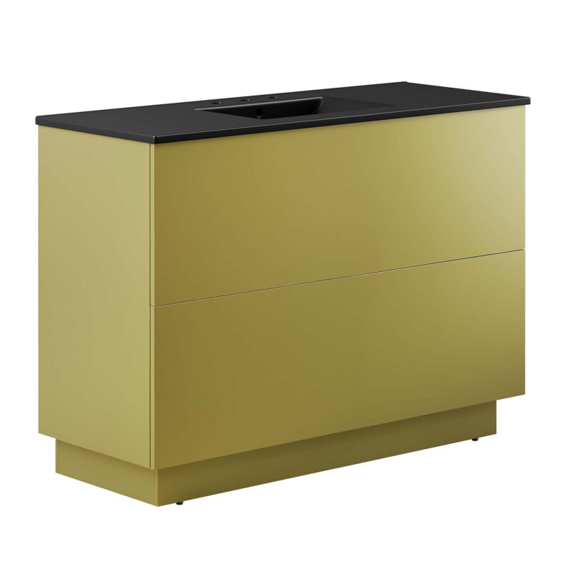 Quantum 48″ Single Sink Bathroom Vanity, Black / Gold